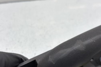 Poignee porte arriere gauche RENAULT MODUS