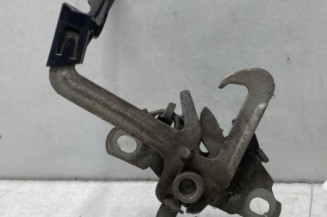 Fermeture de capot CITROEN C3 2 Photo n°1