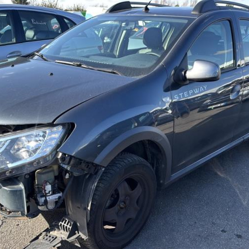 Tambour arriere gauche DACIA SANDERO 2 Photo n°1