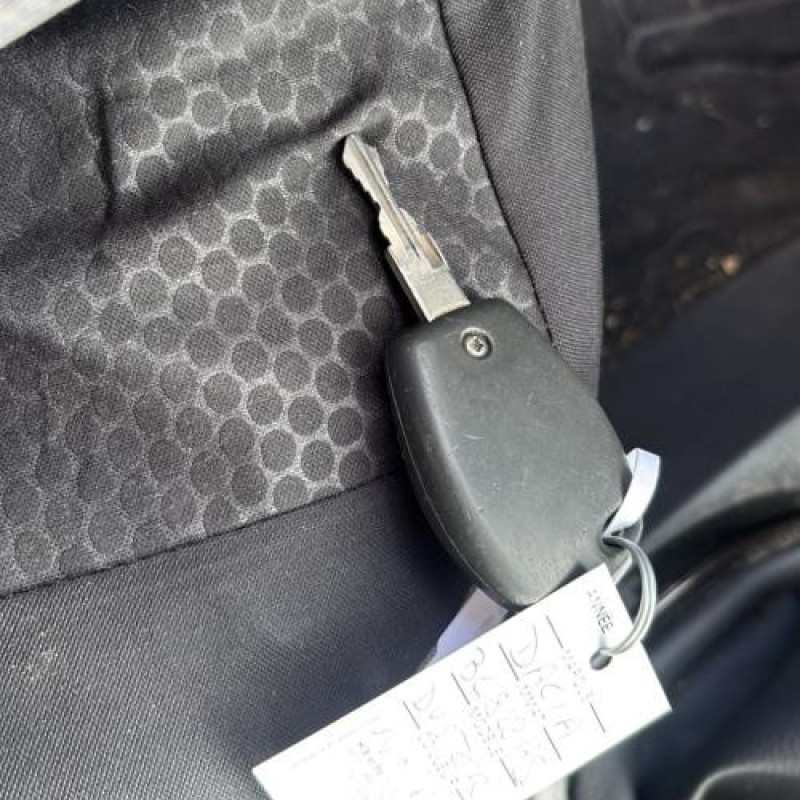 Leve vitre mecanique arriere droit DACIA DUSTER 1 Photo n°19