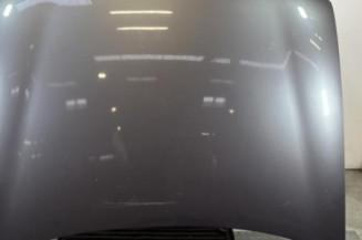 Capot RENAULT SAFRANE Photo n°1