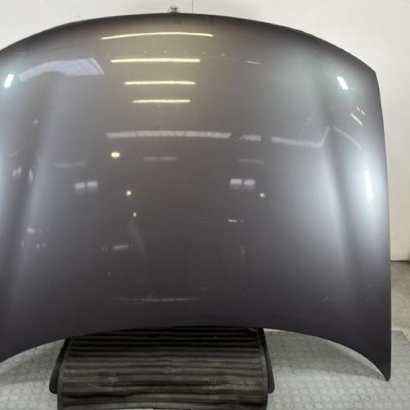 Capot RENAULT SAFRANE Photo n°1