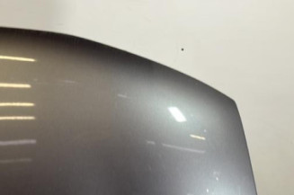 Capot RENAULT SAFRANE