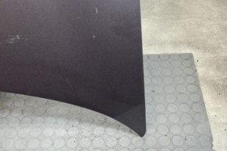 Capot RENAULT SAFRANE