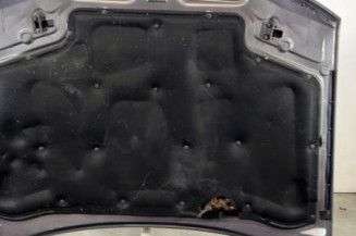 Capot RENAULT SAFRANE