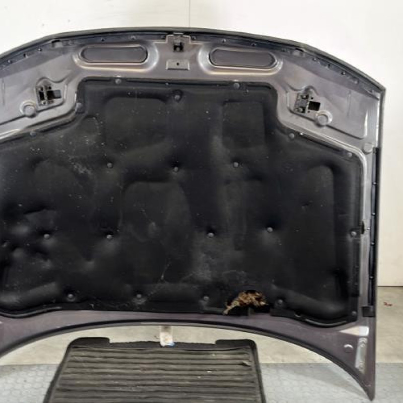 Capot RENAULT SAFRANE Photo n°7