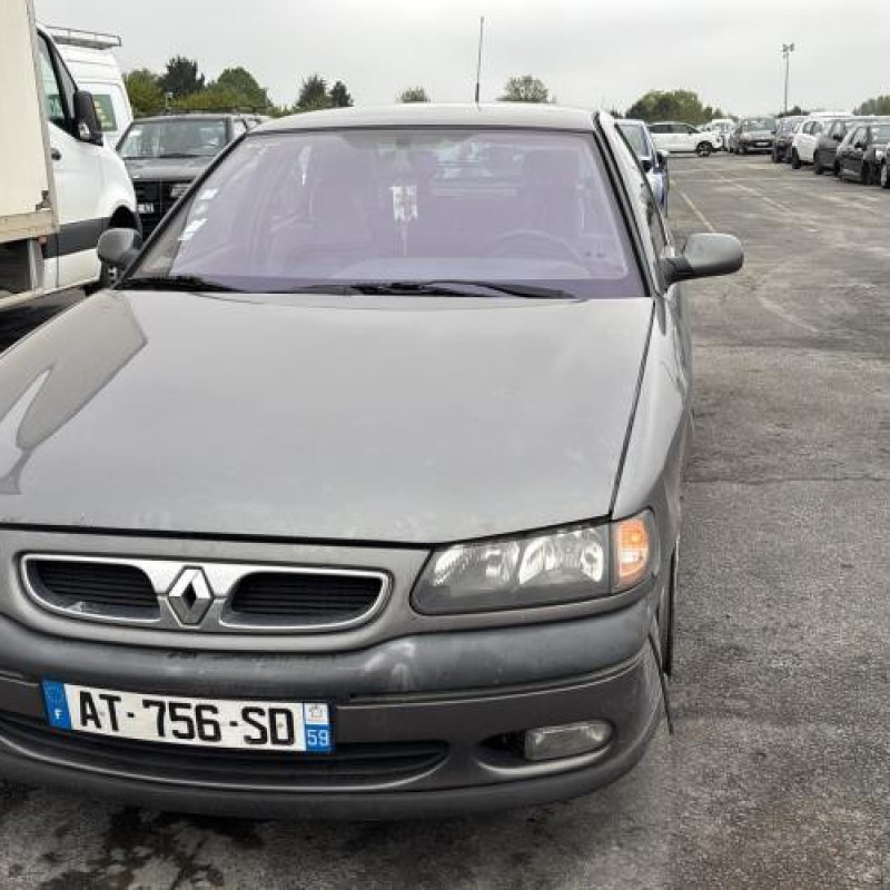 Capot RENAULT SAFRANE Photo n°15