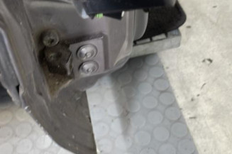 Porte avant droit RENAULT SAFRANE