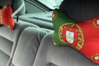 Porte avant droit RENAULT SAFRANE