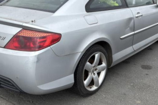 Vase de lave glace PEUGEOT 407