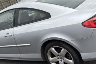 Vase de lave glace PEUGEOT 407