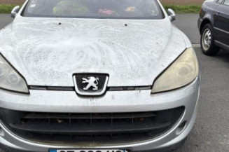 Vase de lave glace PEUGEOT 407