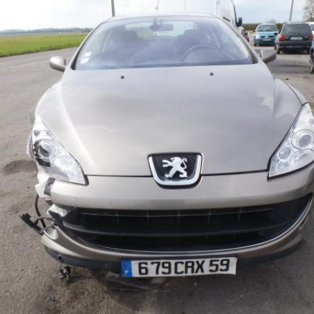 Vase de lave glace PEUGEOT 407