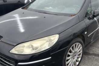 Vase de lave glace PEUGEOT 407 Photo n°1