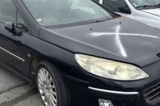 Vase de lave glace PEUGEOT 407