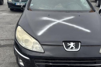 Vase de lave glace PEUGEOT 407