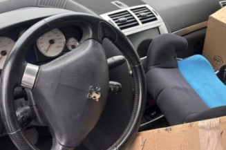 Vase de lave glace PEUGEOT 407