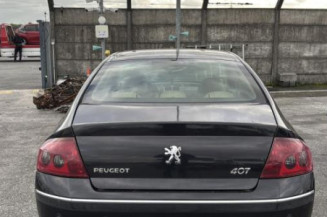 Vase de lave glace PEUGEOT 407