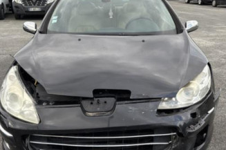 Vase de lave glace PEUGEOT 407