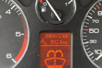 Vase de lave glace PEUGEOT 407