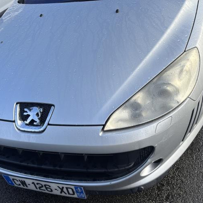 Vase de lave glace PEUGEOT 407 Photo n°2