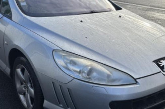 Vase de lave glace PEUGEOT 407