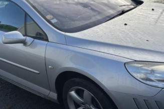 Vase de lave glace PEUGEOT 407