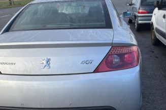 Vase de lave glace PEUGEOT 407