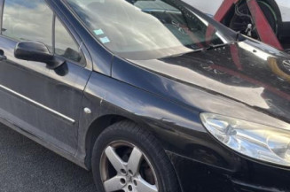 Vase de lave glace PEUGEOT 407