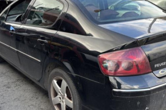 Vase de lave glace PEUGEOT 407