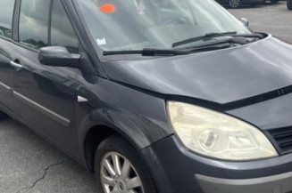 Debitmetre RENAULT SCENIC 2