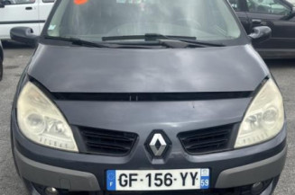 Debitmetre RENAULT SCENIC 2