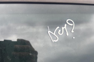 Debitmetre RENAULT SCENIC 2