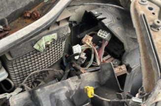 Debitmetre RENAULT SCENIC 2