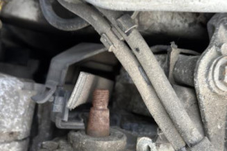 Debitmetre RENAULT SCENIC 2