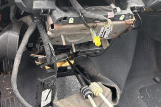 Debitmetre RENAULT SCENIC 2