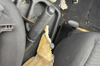 Debitmetre RENAULT SCENIC 2