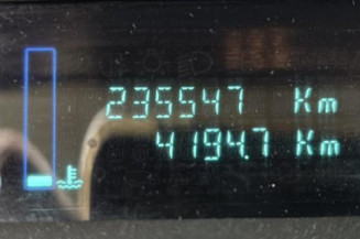 Debitmetre RENAULT SCENIC 2