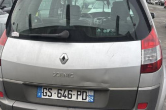 Debitmetre RENAULT SCENIC 2