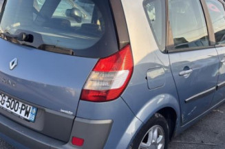 Debitmetre RENAULT SCENIC 2