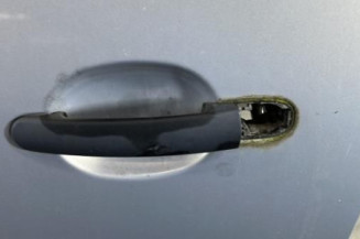 Porte avant gauche VOLKSWAGEN GOLF 4