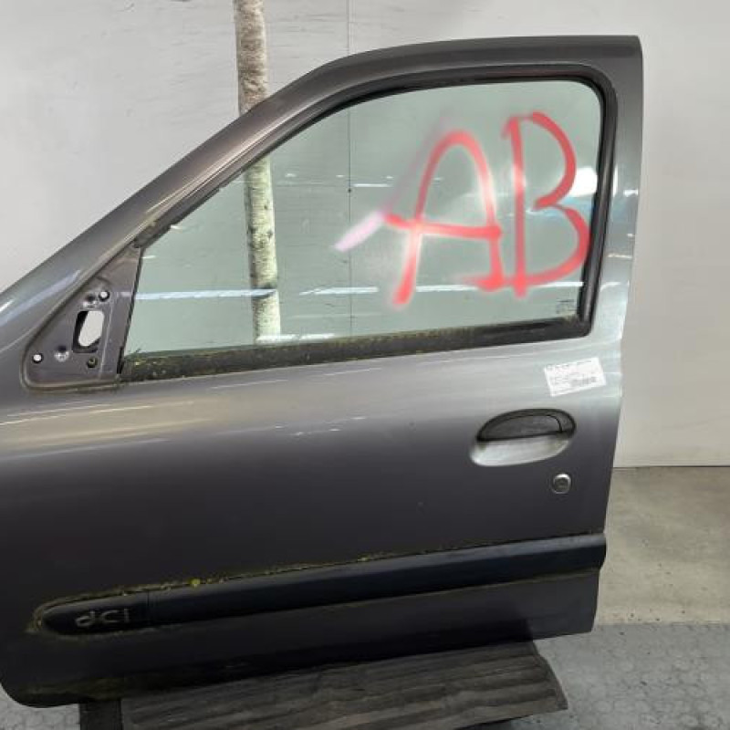 Porte avant gauche RENAULT CLIO 2 Photo n°1