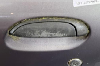 Porte avant gauche RENAULT CLIO 2