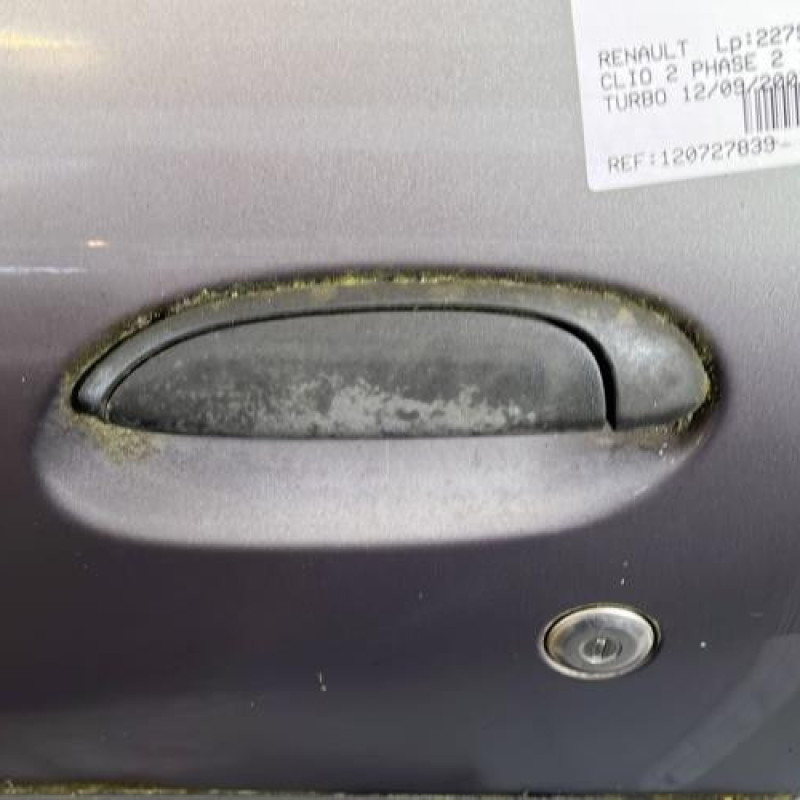 Porte avant gauche RENAULT CLIO 2 Photo n°2