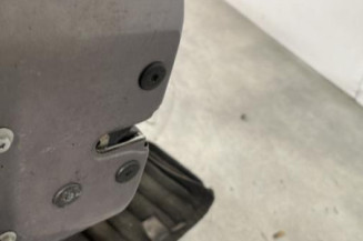 Porte avant gauche RENAULT CLIO 2