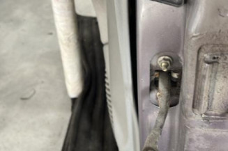 Porte avant gauche RENAULT CLIO 2