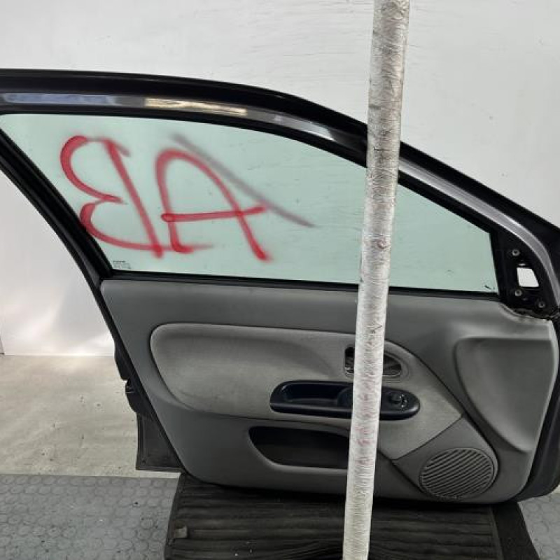 Porte avant gauche RENAULT CLIO 2 Photo n°6