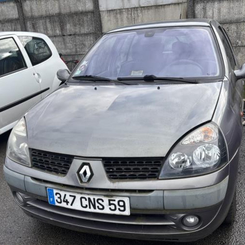 Porte avant gauche RENAULT CLIO 2 Photo n°9