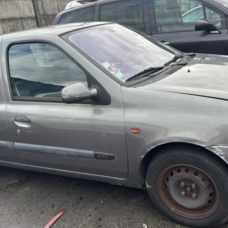 Porte avant gauche RENAULT CLIO 2 Photo n°11