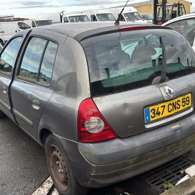 Porte avant gauche RENAULT CLIO 2 Photo n°14